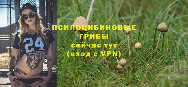 ALPHA-PVP Верея