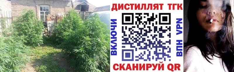 Дистиллят ТГК жижа  дарк нет телеграм  Вышний Волочёк 