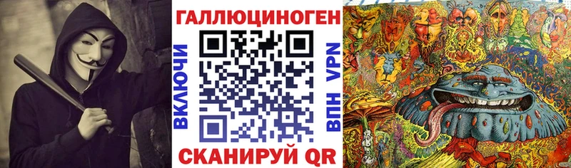 Галлюциногенные грибы Cubensis  Вышний Волочёк 